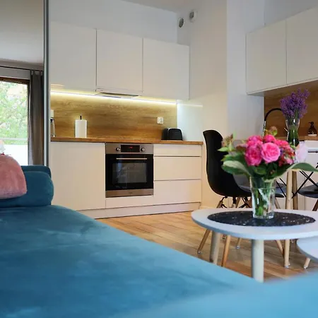 Lucky-time Pl - 2 - Ostrow Tumski Apartment *