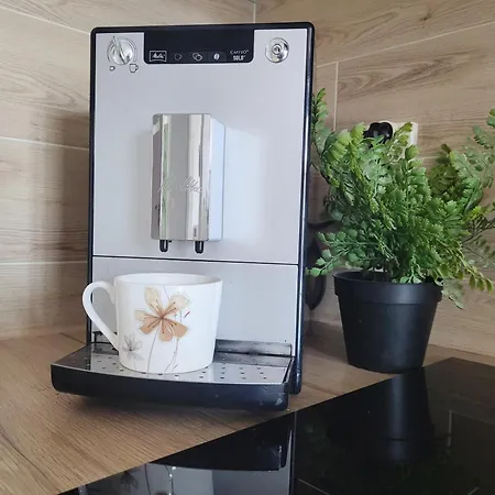 Lucky-time Pl - 2 - Ostrow Tumski Breslau